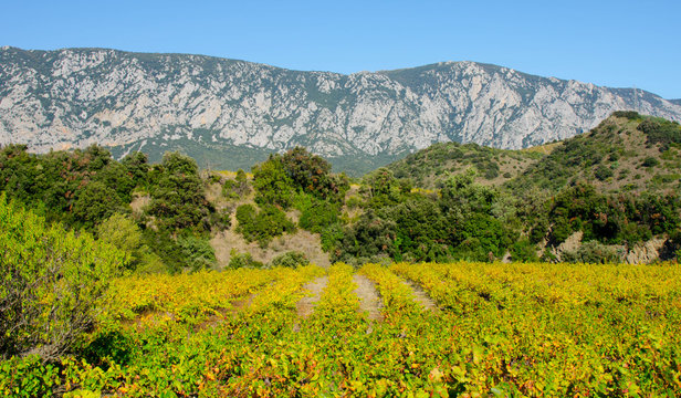 Landschaft im Aude im Oktober