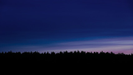 dark silhouette of a night pine forest on the multi colored sky background