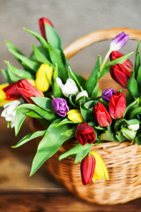 Floral background, greeting card, harvesting, mocap for greetings for mother's day, international women's day: bouquet of colorful tulips in basket on wooden background, copyspace