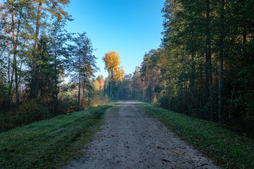 country gravel road in autumn colors in fall colors