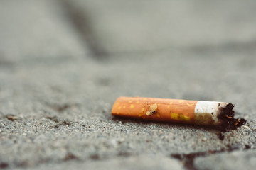cigarettes stub on the street