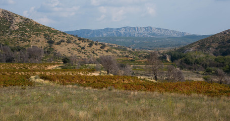 Landschaft im Aude in Frankreich