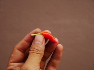 Red pepper on hand,fresh chili paper background