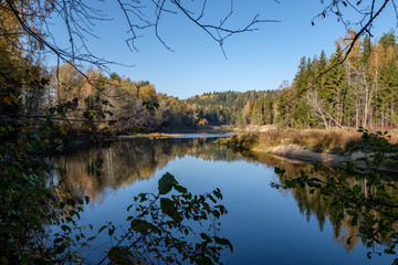 Fototapeta premium forest river in autumn colored country
