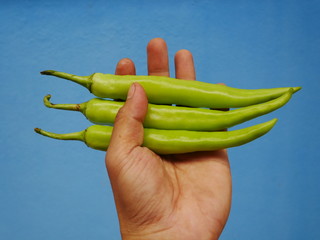 green pepper on hand,chili paper