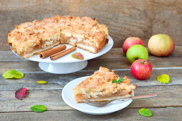 Apfel-Streusel-Kuchen