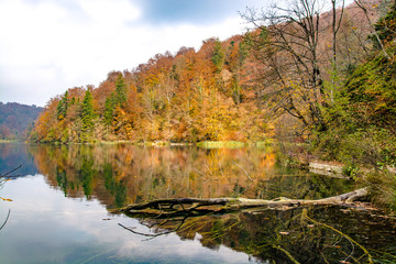 Fototapeta na wymiar Autumn colors and reflections at Plitvice Lakes National Park
