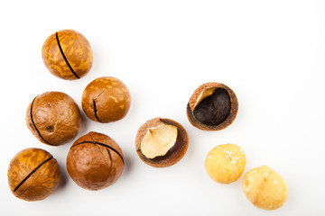 Macadamia nut white background 