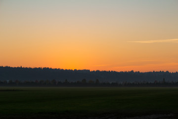 Evening Fog in the Field