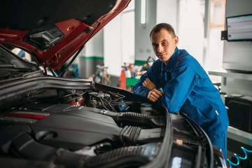 Fototapeta na wymiar Mechanic makes visual inspection of the car engine