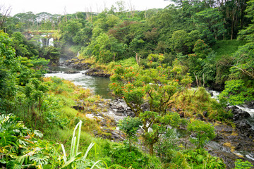 Fototapeta na wymiar Tropical forest at Rainbow Falls next to Hilo, Big Island Hawaii (United States)