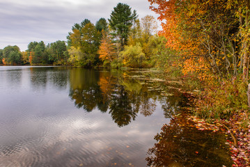 Fototapeta na wymiar Autumn Foliage at Stillwater Pond