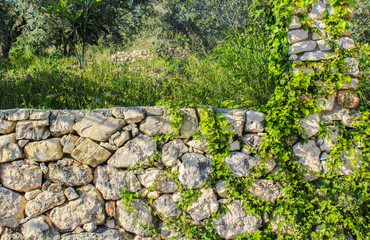 stones wall and pillars 
