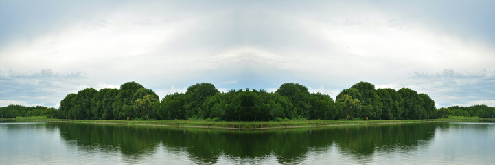 Shadow of green tree in the river on blue sky background - Landscape of concept