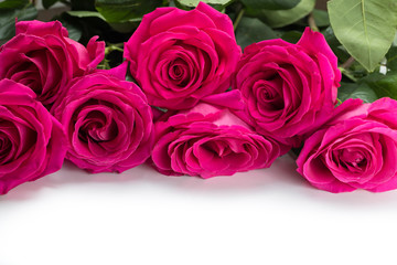 White background for an inscription or design with an ornament from large red flowers of roses