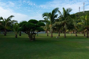 green field and blue sky in the morning