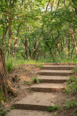 Personal perspective of walking on a path with step in the forest.