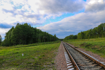Fototapeta na wymiar Railway. railway tracks among green forest and grass. empty rails without train and people.