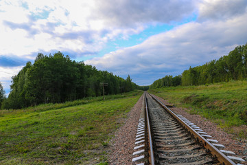 Fototapeta premium Railway. railway tracks among green forest and grass. empty rails without train and people.