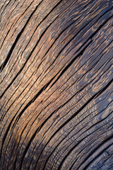 The texture of the old board with a winding pattern and a brown tint