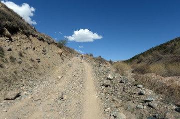 Mountain road in the area of the river Yarlyamry. Mountain Altai.Siberia. Russia