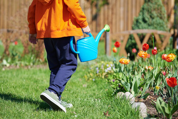 European boy is helping to water the flowers in the garden.