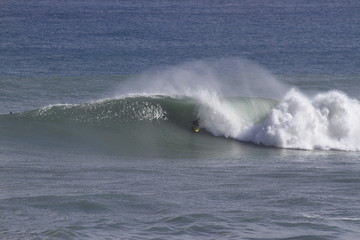 surf the perfect wave