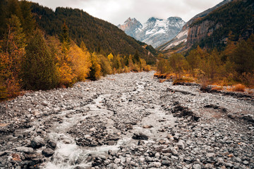 Beautiful orange and red autumn forest in Switzerland.