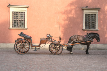 Fototapeta na wymiar horse in harness with a carriage to the city on the cobblestone paving, entertainment for transportation of tourists, sightseeing, red shabby wall and two vintage windows background