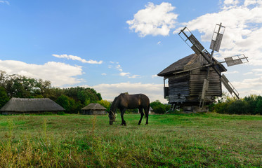 Field and forest, horse and old windmill. Village and clean air. Good ecology