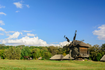 Fototapeta premium Field and forest, horse and old windmill. Village and clean air. Good ecology