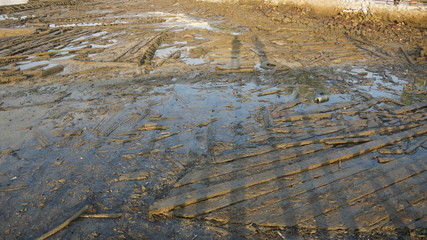 Beautiful silhouette during sunrise at Tan Jetty, George Town, Penang