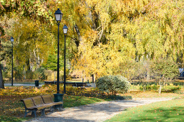 Beautiful park in autumn, with old street lamps and benches, trees and yellow leaves 