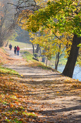 Beautiful park in autumn, with people walking, trees and yellow leaves 