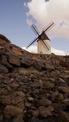 Papier Peint photo autocollant Moulins moulin de jard-sur-mer en vendée,au bord de la mer