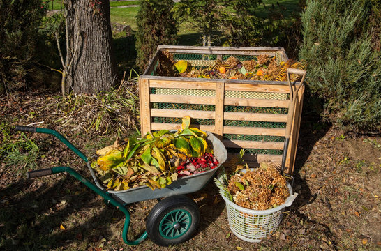 Image of compost bin in the autumn garden
