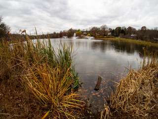 wide angle view of lake with fountain and bushes