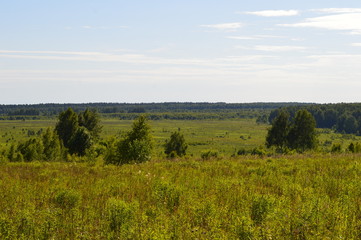 Fototapeta na wymiar landscape with wheat field and blue sky