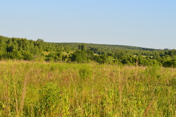 Obraz premium landscape with green field and blue sky