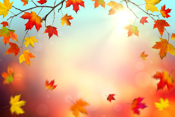 Naklejka na ściany i meble Autumn Background with Colorful Falling Leaves And Sunlight