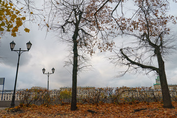 Obraz na płótnie Canvas Gloomy atumn in the city park