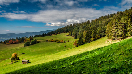Fototapeta na wymiar Grashügel mit Blick auf die Berge in Südtirol