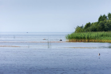 coast tracks with no clouds