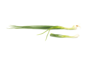 Fototapeta premium Spring onion isolated on white background
