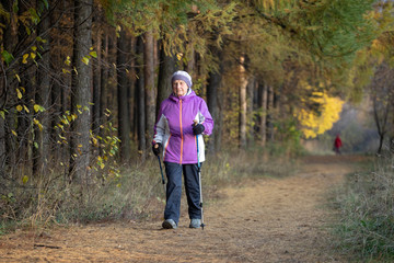 Obraz premium A woman over the age of 65 is engaged in Nordic walking in the fresh air.