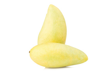 ripe mango asian. isolated on white background