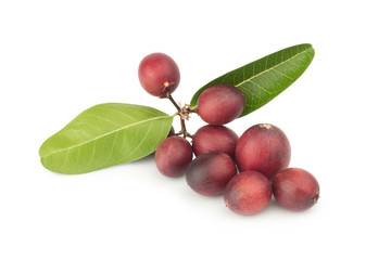 Karonda Fruit ripe isolated on white background