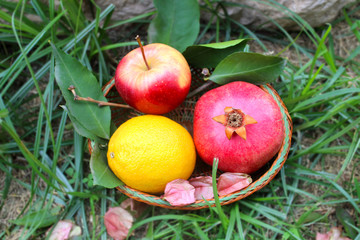 Fruit Composition: Pomegranate, Apple, Orange and Lemon Leaves in a Wicker Basket. Background: Green Grass