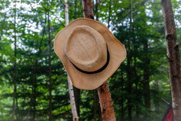 A straw hat hanging on a tree in the Adirondack backcountry. 