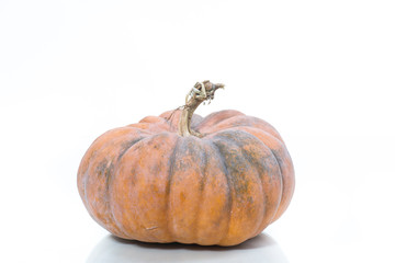 Fresh raw pumpkin isolated on white. Organic plant